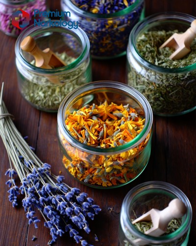 Народные травы